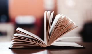 西方育儿书籍 育儿百科电子书