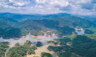 西双版纳夏天最热几度 西双版纳现在热吗