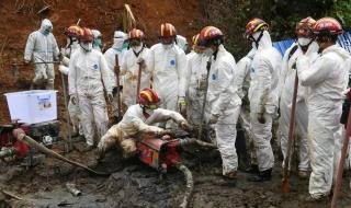 东航321机长是谁 321东航坠机事件