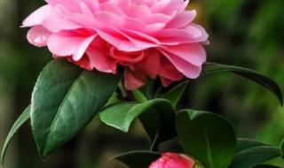 当别人祝福你时你该说什么 我的祝福你听见了吗