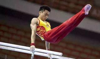 邹敬园简介 邹敬园简介