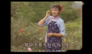 黄梅戏电视剧大全 韩再芬黄梅戏小辞店