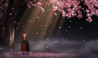 天生是优我马蜀君