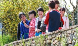 花儿与少年最后一期 花儿与少年最后一期