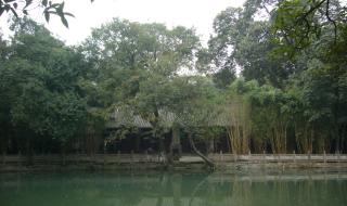 新都东湖中学和旃檀中学哪个好 新繁东湖中学贴吧