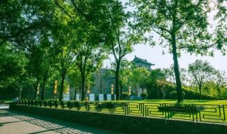 西安汉城湖遗址公园