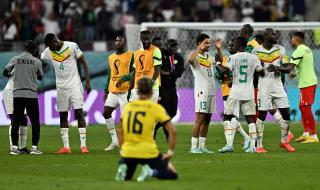 厄瓜多尔与塞内加尔