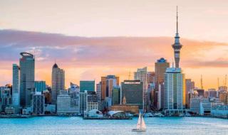 新西兰男足世界排名 新西兰男足世界排名